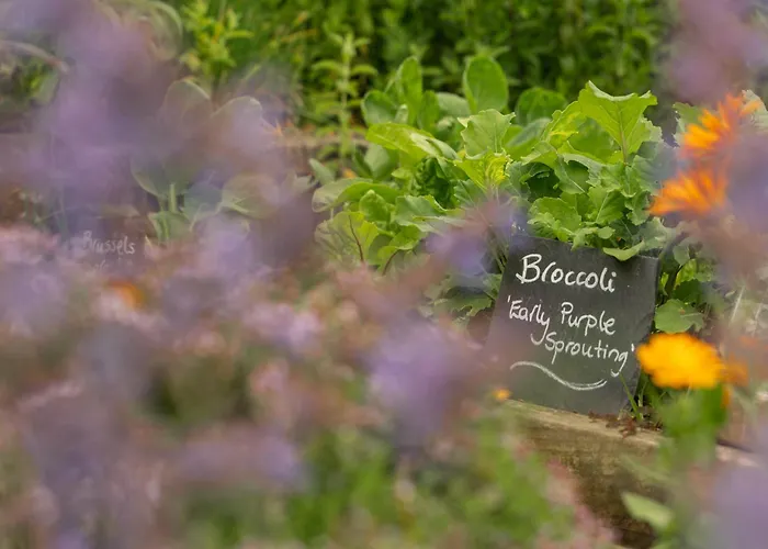 Best Luxury Accommodations in Historic York